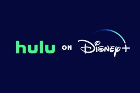 Hit Hulu & Disney+ TV Show Announces Spin-off, Title Revealed
