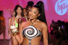 Megan Thee Stallion sheer catsuit