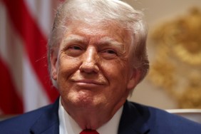Donald Trump Allies Who Backed Epstein Files’ Release Are Losing Their Roles