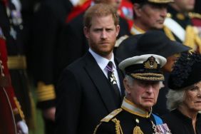 Prince Harry, King Charles