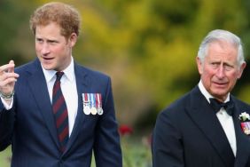 Prince Harry, King Charles