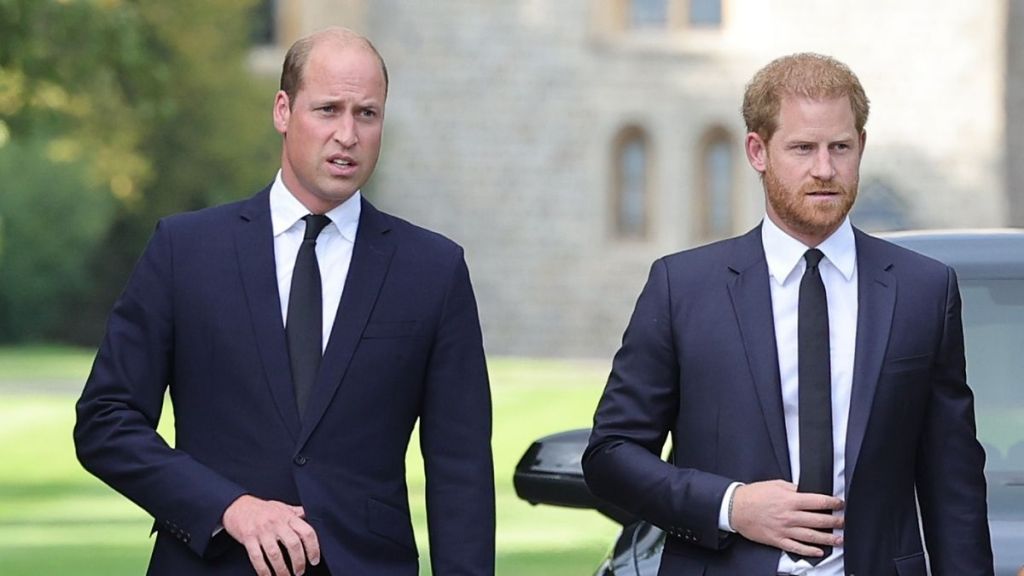 Prince Harry, Prince William
