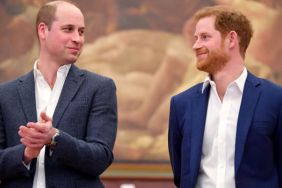 Prince Harry Is Reportedly Fighting This Battle Alone