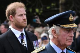 Prince Harry Accused of 'Weaponizing' Royal Security Dispute by Expert