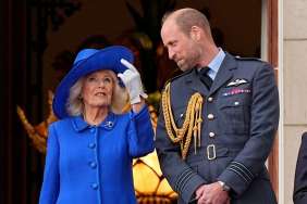 Prince William, Queen Camilla