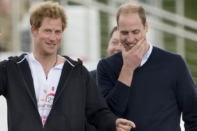 Expert Claims Prince Harry Wished Struggles on Prince William