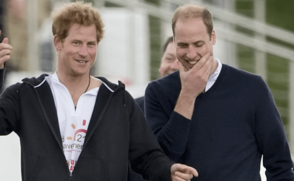 Expert Claims Prince Harry Wished Struggles on Prince William