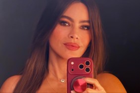 Sofia vergara side plank