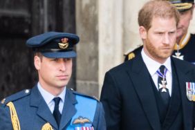 Prince William & Prince Harry Reunion Seems ‘Incredibly Unlikely’ — Source