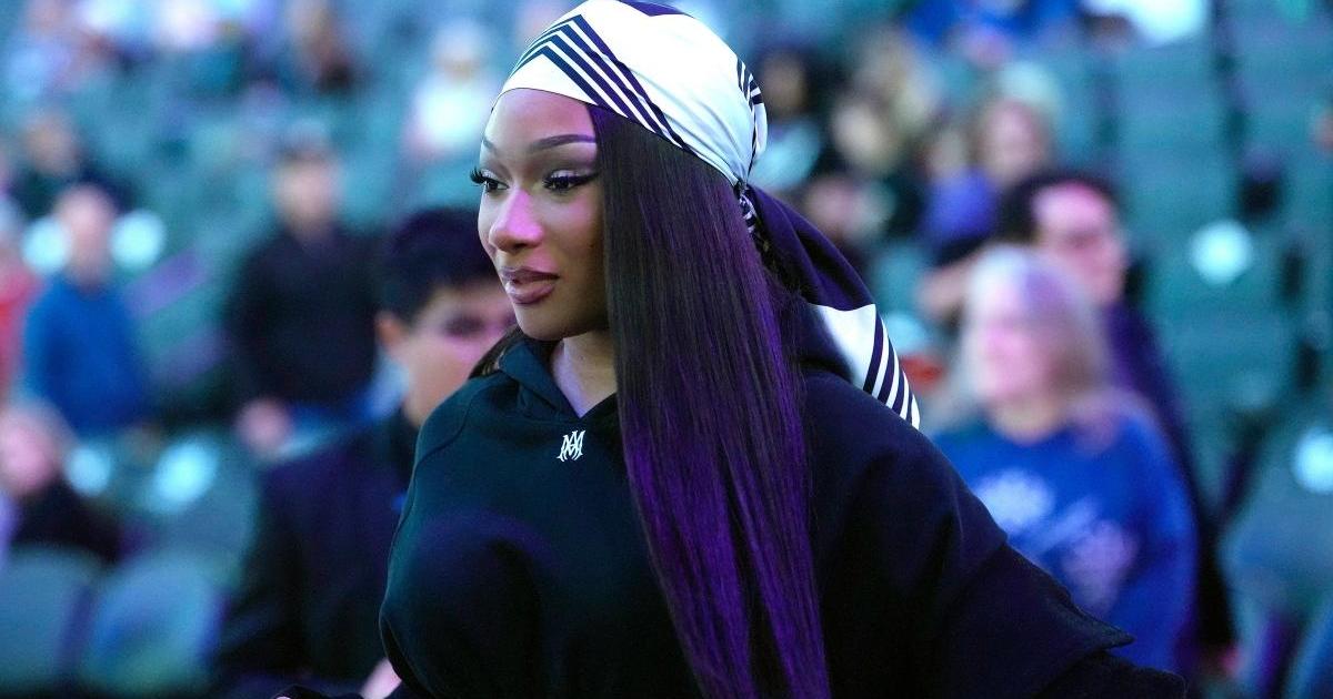 Megan Thee Stallion's Opponent Fights $75K Payment, Citing Hardship