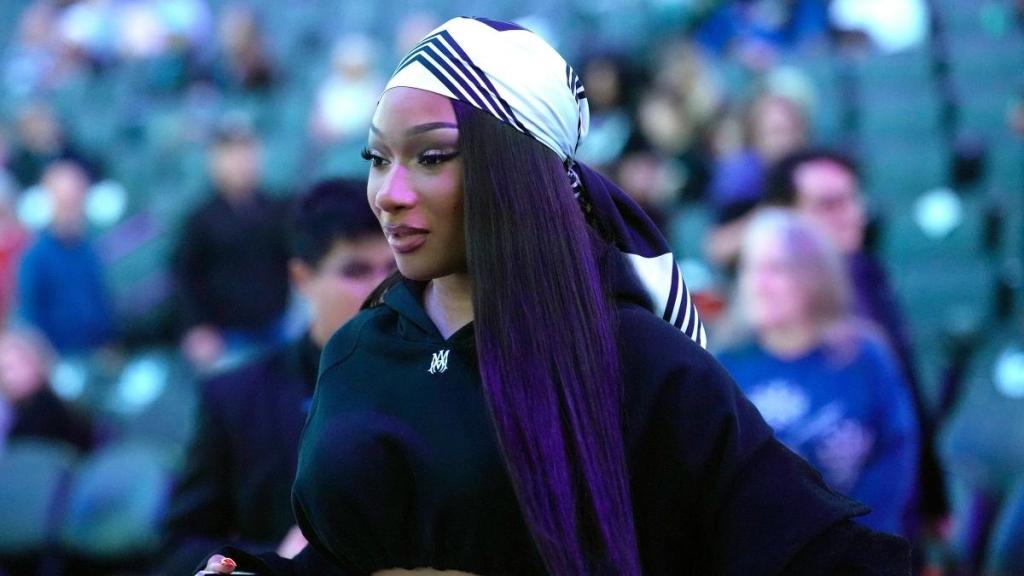 Megan Thee Stallion's Opponent Fights $75K Payment, Citing Hardship