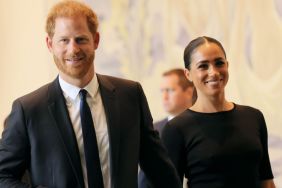 Meghan Markle & Prince Harry Risk 'Bankruptcy' With Divorce — Source
