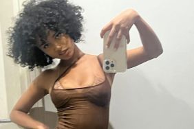 Tyla's Bra Peeks Through Teeny Tiny Plunging Crop Top in Daring Look