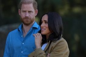Prince Harry Had '10-Minute Meltdown' Before Meghan Markle Marriage — Author