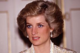 Princess Diana Had a Crush on This Royal Before Charles, According to New Book