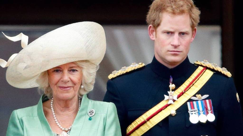 Queen Camilla Sounds Alarm Over This Prince Harry Rumor — Source