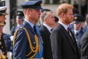 Royal Rift Between Prince Harry and Prince William Addressed by Former Private Secretary