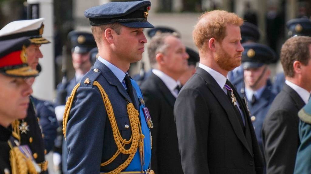 Royal Rift Between Prince Harry and Prince William Addressed by Former Private Secretary