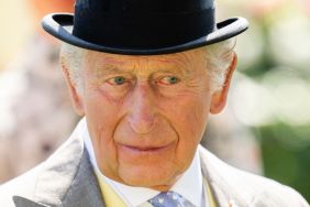 Prince Harry And William Relationship Frozen As King Charles Steps Aside — Source