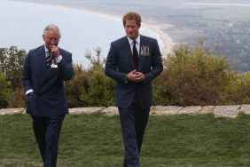 Prince Harry Wants One Thing King Charles Can't Give—Source
