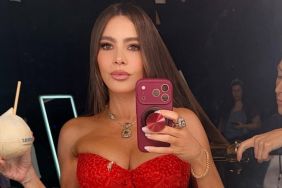 Sofia Vergara's Strapless Dress Shows Off More Than Meets the Eye