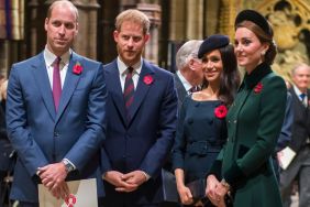 Prince Harry & Meghan Markle Can See Through Prince William's 'Phony' Act — Source