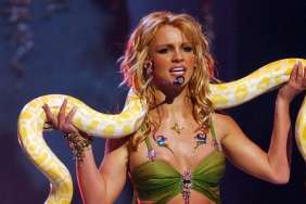 Britney Spears Calls Out Online Critics After DUI With Cryptic Post