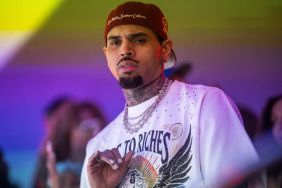 Woman Taken Into Custody at Chris Brown’s Los Angeles Home After Burglary Suspicion