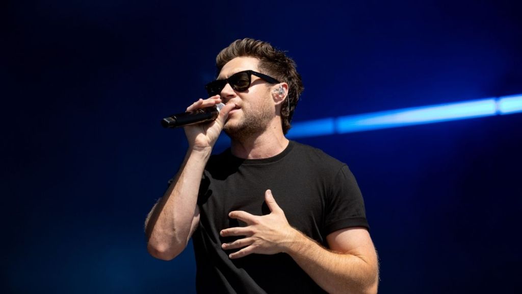 Niall Horan Shares Emotional Toll of Watching Former One Direction Bandmates Thrive
