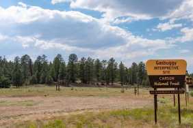 Carson National Forest