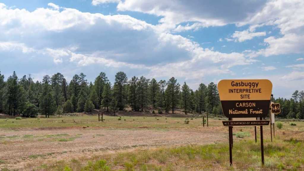 Carson National Forest