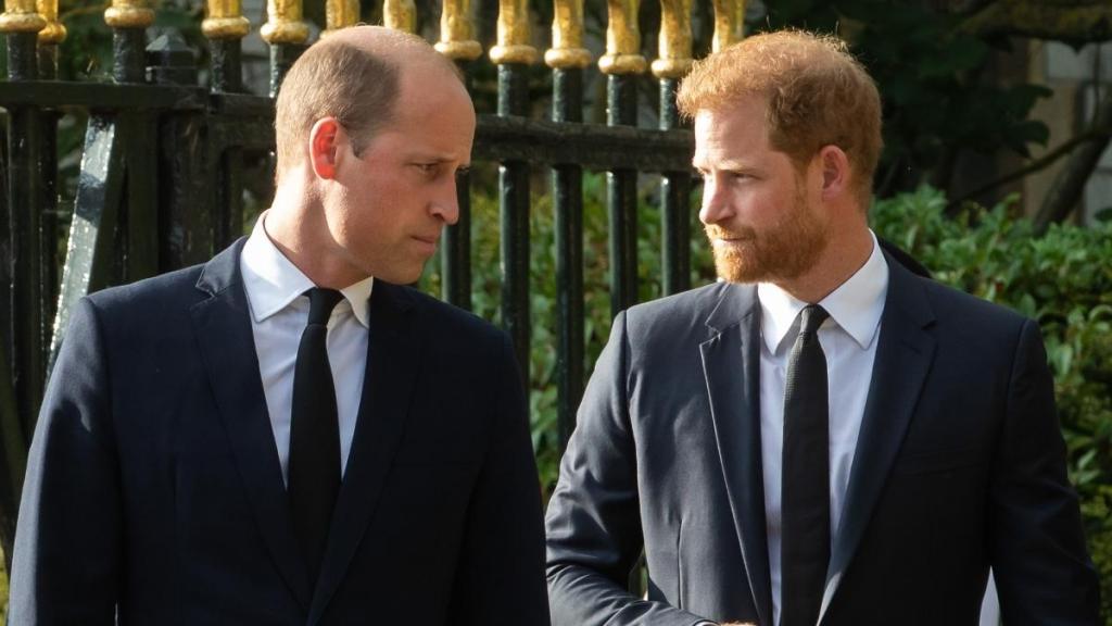 Prince William Not Likely To Meet Prince Harry During UK Visit — Source