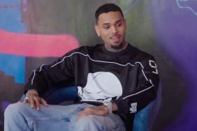 Key Testimony Emerges in Chris Brown's $90 Million Dog Attack Lawsuit