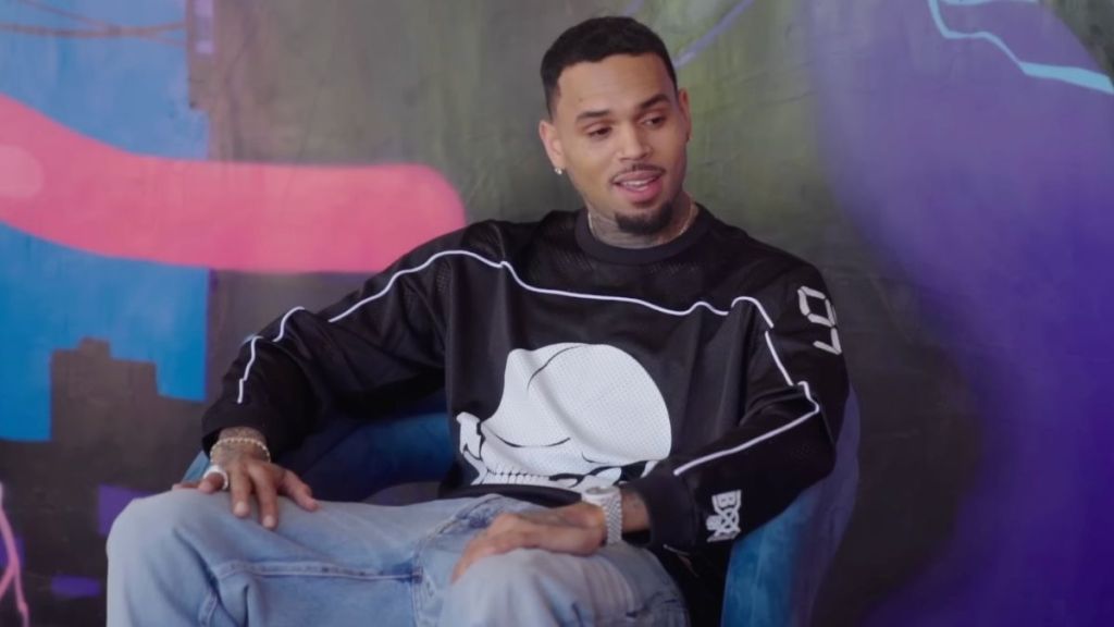 Key Testimony Emerges in Chris Brown's $90 Million Dog Attack Lawsuit