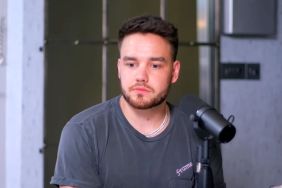 Liam Payne’s Son Bear Set to Inherit His Entire Estate
