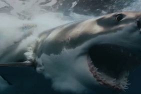 Shark Thriller Chum Sets AMC+ Streaming Release Date