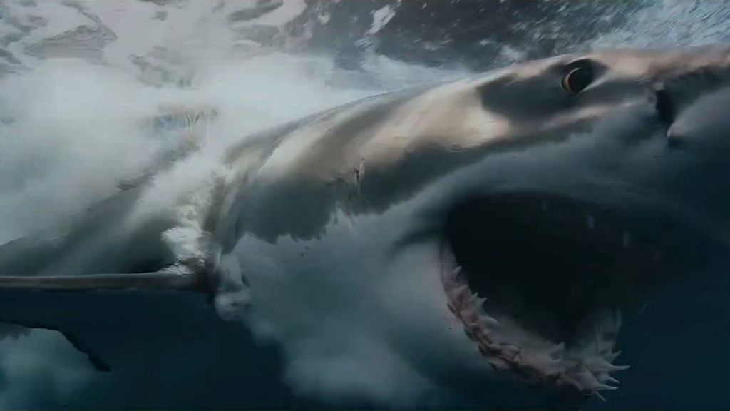 Shark Thriller Chum Sets AMC+ Streaming Release Date