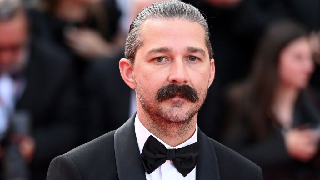Shia LaBeouf Sentenced to Probation, Rehab in New Orleans Case — Report