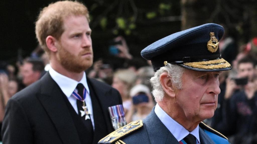 Prince Harry & King Charles Reunion May Deepen William Rift — Source