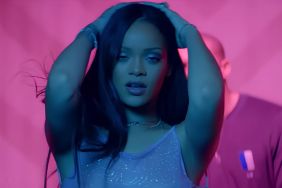 Rihanna's Sheer Plunging Bra Campaign Reveals Quite a Lot