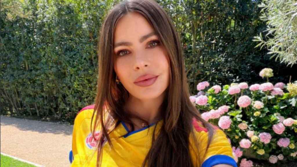 Sofia Vergara Risks a Wardrobe Mishap in a Curve-Hugging, Revealing Top