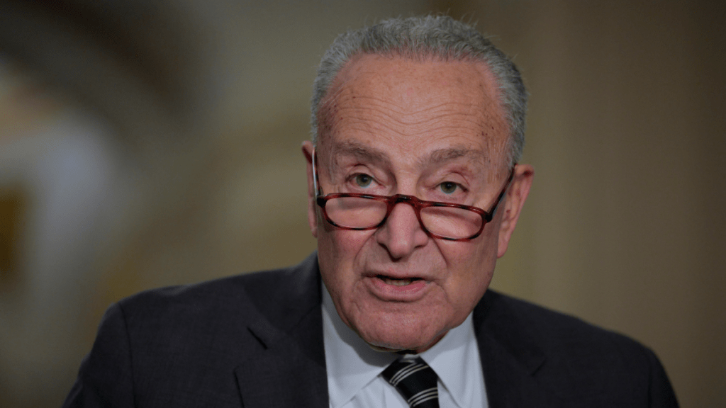 Chuck Schumer Accused of ‘Backing Genocide’ During Press Conference
