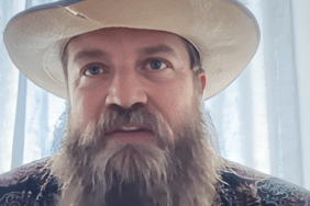 Ryan Fitzpatrick Says Taylor Swift and Travis Kelce's Wedding Was 'Unbelievable'