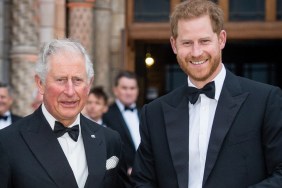 prince harry