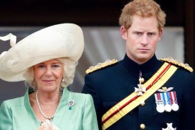 prince harry