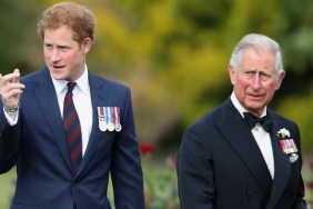 prince harry