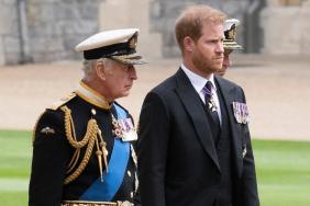 Prince Harry’s Next Move Might Affect His Meeting With King Charles — Source
