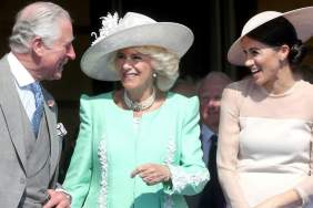 King Charles Denied Meghan Markle the 'Prize' She Wanted — Source
