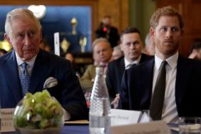 King Charles Wanted to ‘Deal With the Prince Harry Problem’ Before Reunion — Source