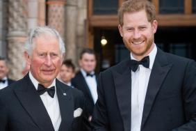 Prince Harry's Path Back to King Charles May Depend on One Crucial Promise — Report